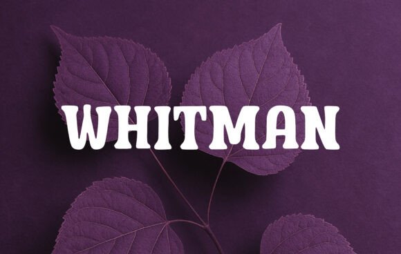 Whitman: A Soft Slab Serif for Elegant Web Design